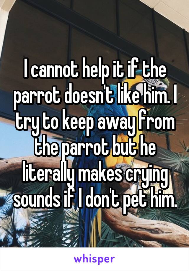 I cannot help it if the parrot doesn't like him. I try to keep away from the parrot but he literally makes crying sounds if I don't pet him.