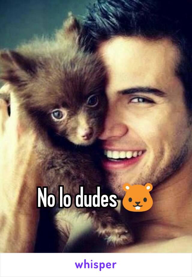 No lo dudes 🐹