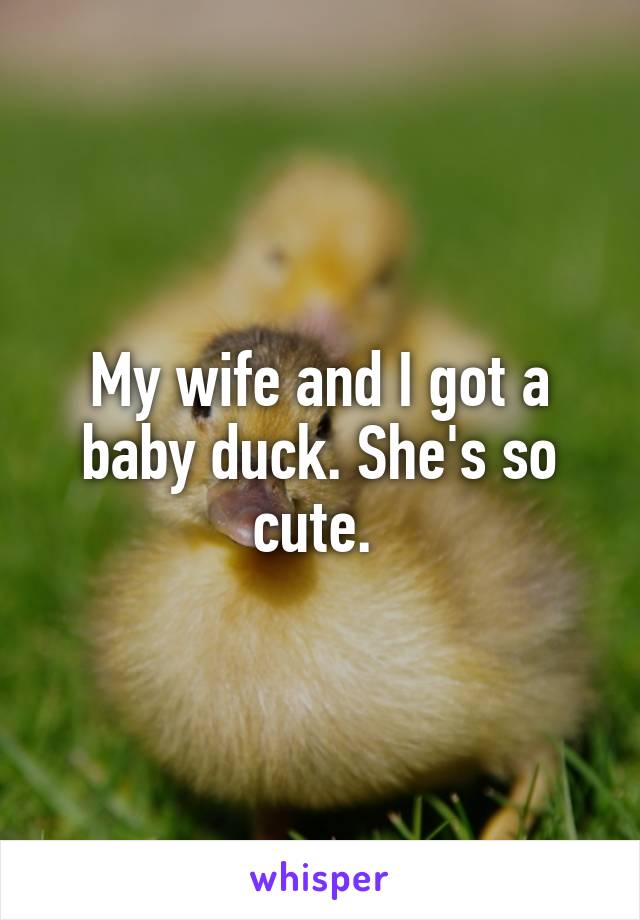 My wife and I got a baby duck. She's so cute. 