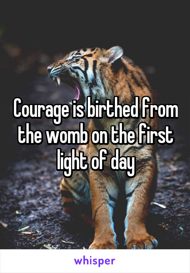 Courage is birthed from the womb on the first light of day