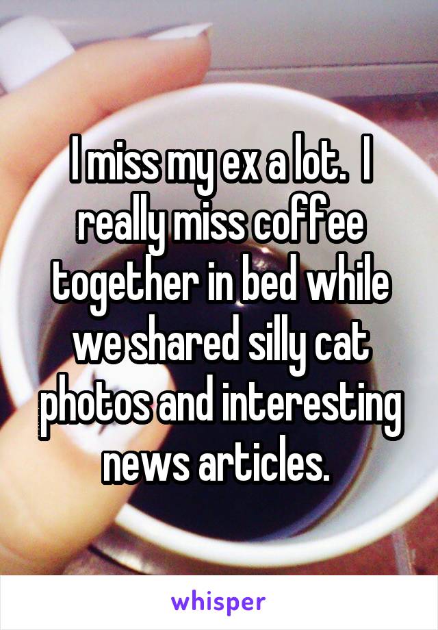 I miss my ex a lot.  I really miss coffee together in bed while we shared silly cat photos and interesting news articles. 