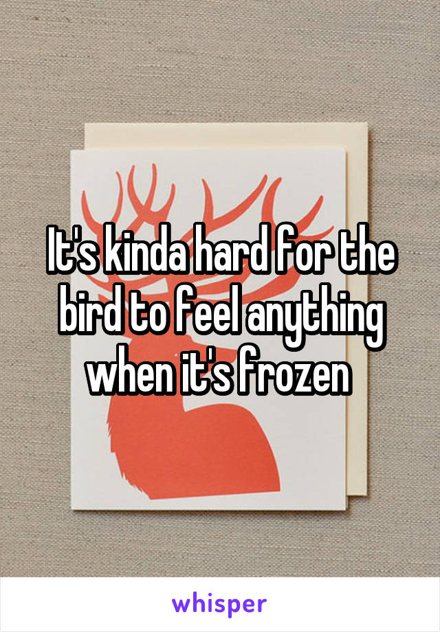 It's kinda hard for the bird to feel anything when it's frozen 