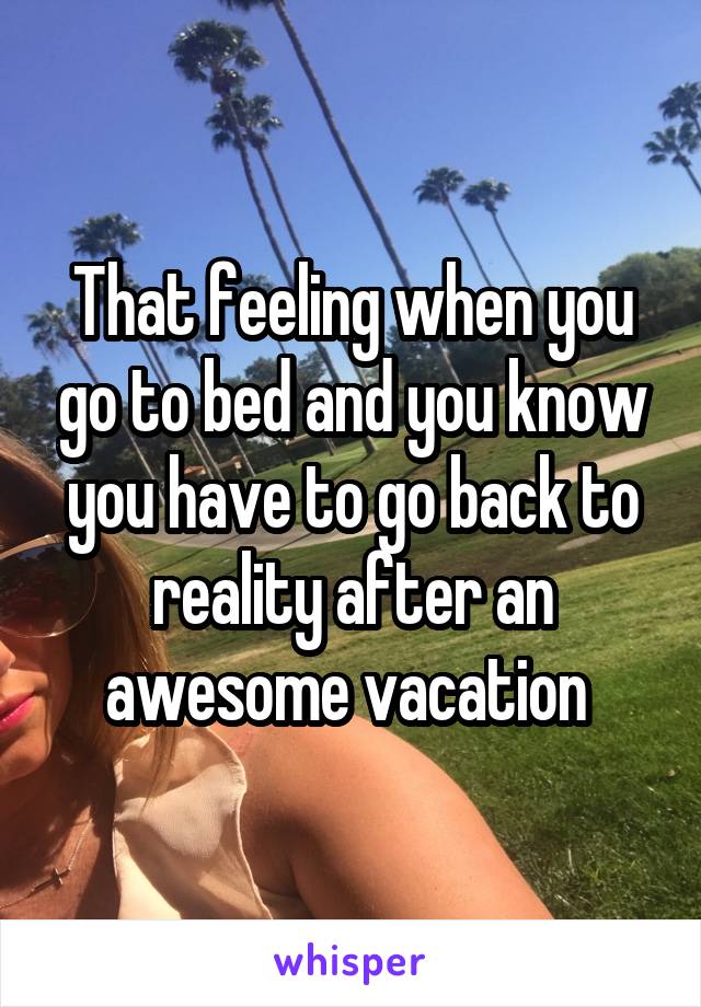 That feeling when you go to bed and you know you have to go back to reality after an awesome vacation 