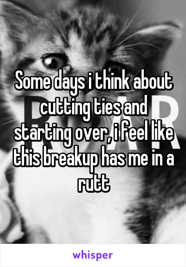 Some days i think about cutting ties and starting over, i feel like this breakup has me in a rutt