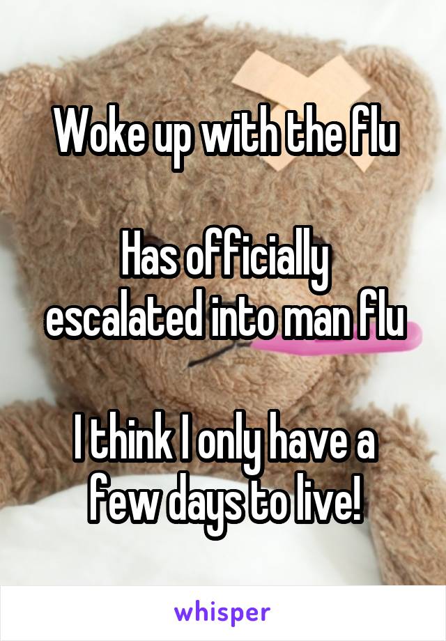 Woke up with the flu

Has officially escalated into man flu

I think I only have a few days to live!