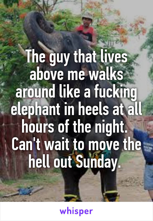 The guy that lives above me walks around like a fucking elephant in heels at all hours of the night.  Can't wait to move the hell out Sunday. 