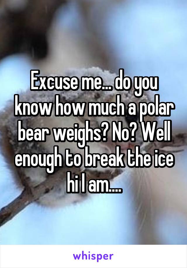 Excuse me... do you know how much a polar bear weighs? No? Well enough to break the ice hi I am....