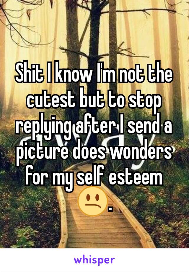 Shit I know I'm not the cutest but to stop replying after I send a picture does wonders for my self esteem 😕.