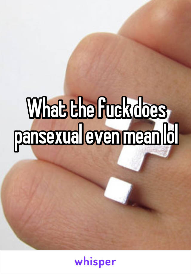 What the fuck does pansexual even mean lol 