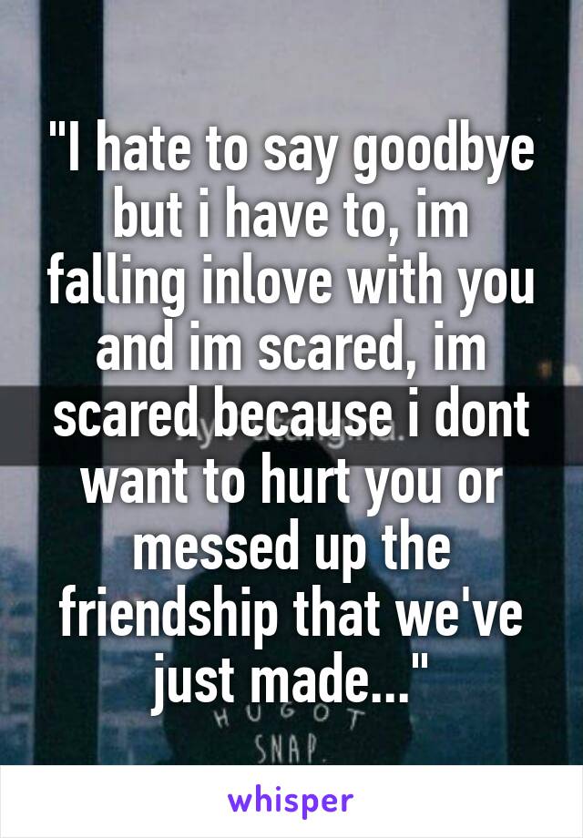 "I hate to say goodbye but i have to, im falling inlove with you and im scared, im scared because i dont want to hurt you or messed up the friendship that we've just made..."