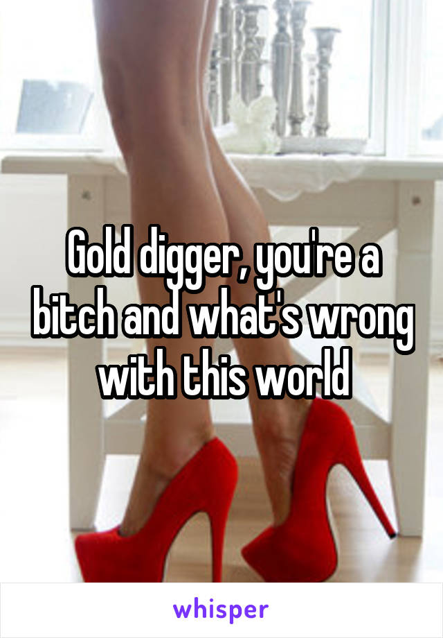 Gold digger, you're a bitch and what's wrong with this world