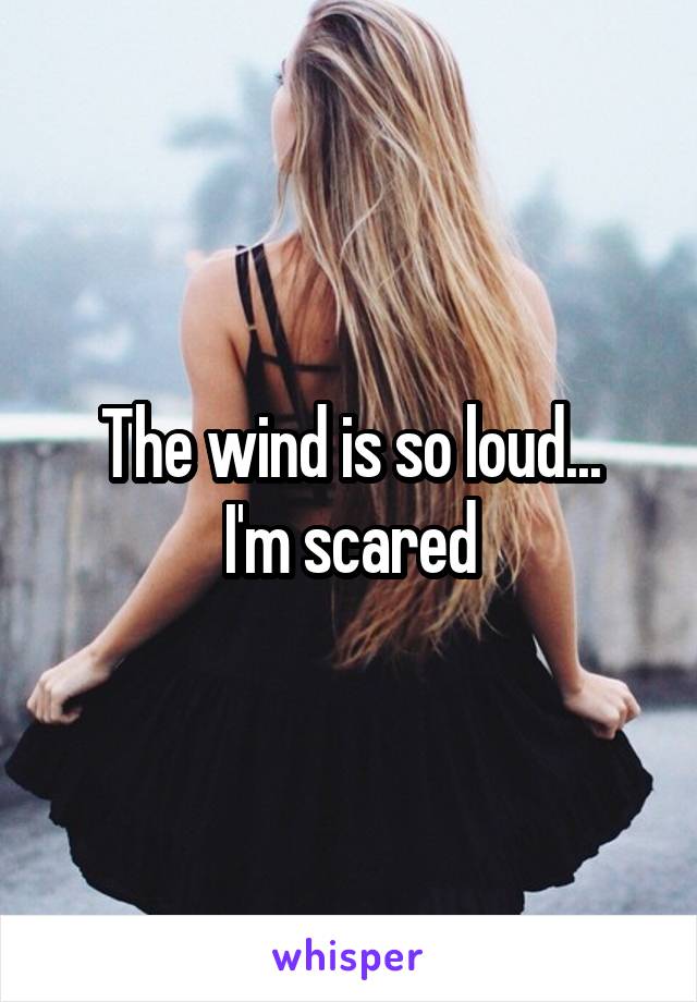 The wind is so loud...
 I'm scared 