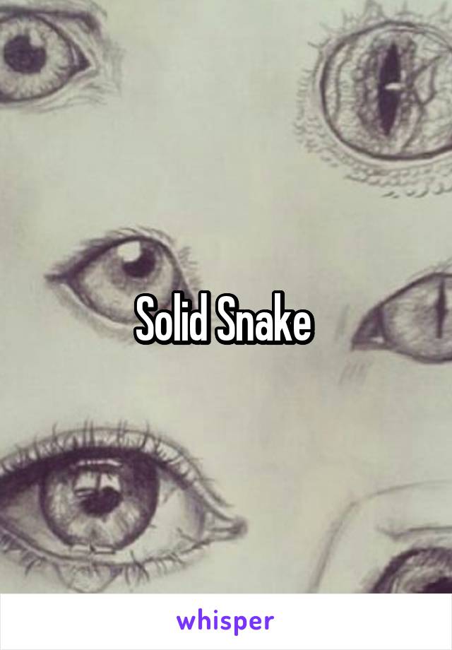 Solid Snake 