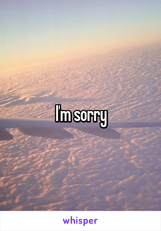 I'm sorry