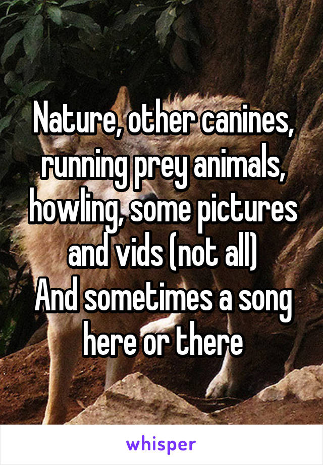 Nature, other canines, running prey animals, howling, some pictures and vids (not all)
And sometimes a song here or there