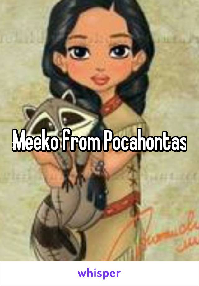 Meeko from Pocahontas