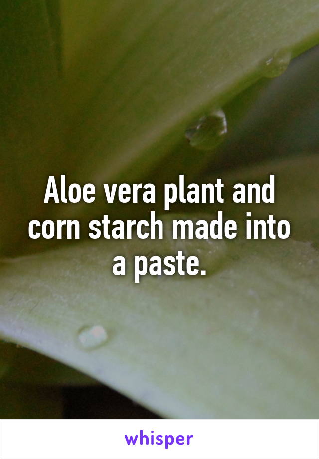 Aloe vera plant and corn starch made into a paste.