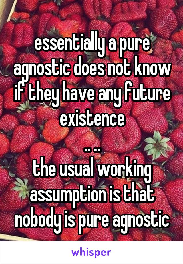 essentially a pure agnostic does not know if they have any future existence
.. ..
the usual working assumption is that nobody is pure agnostic