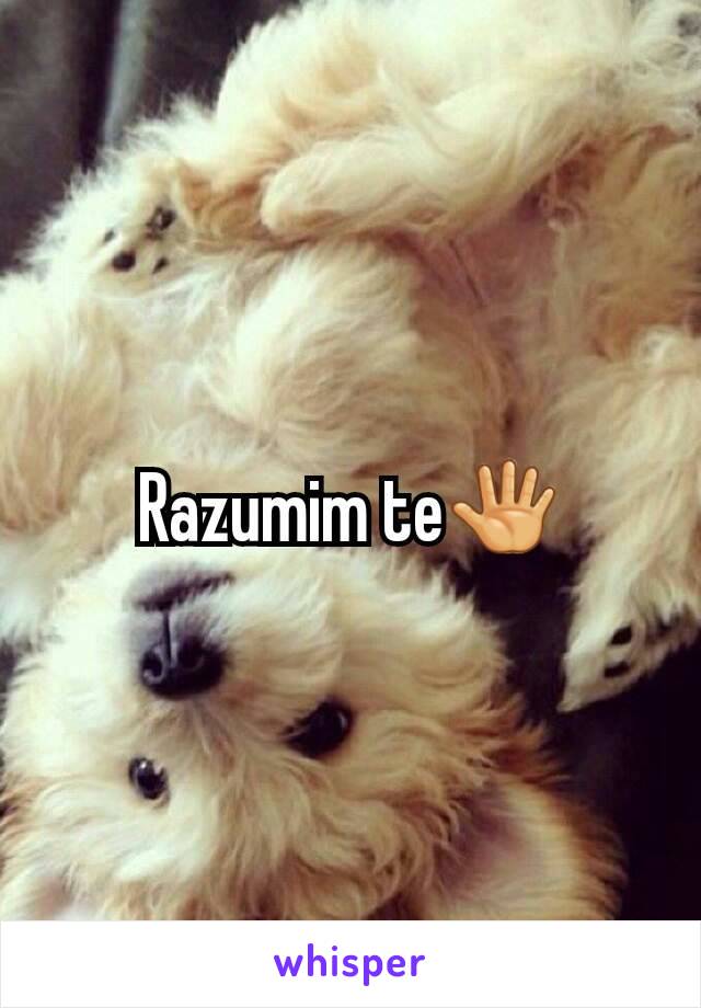 Razumim te🖑