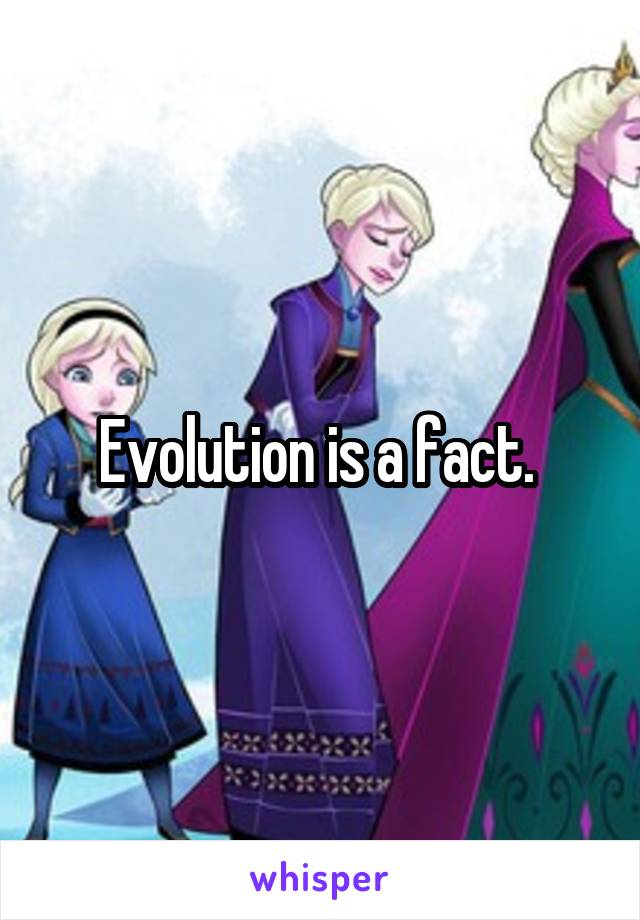 Evolution is a fact. 