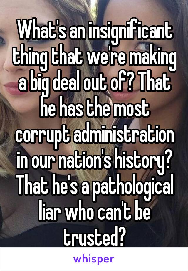 What's an insignificant thing that we're making a big deal out of? That he has the most corrupt administration in our nation's history? That he's a pathological liar who can't be trusted?