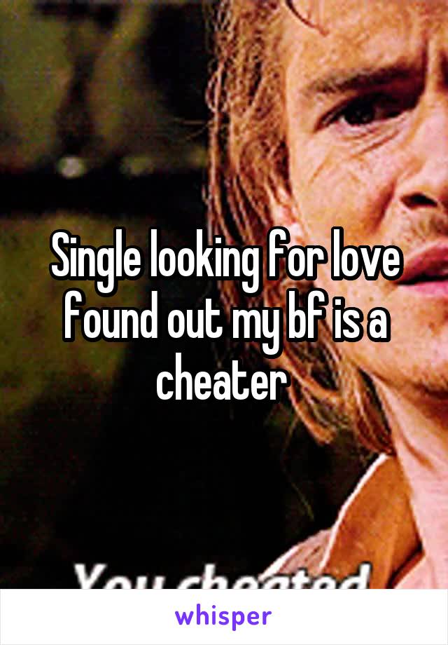 Single looking for love found out my bf is a cheater 