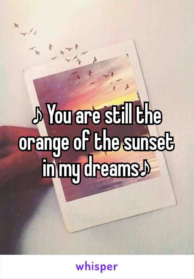 ♪ You are still the orange of the sunset in my dreams♪