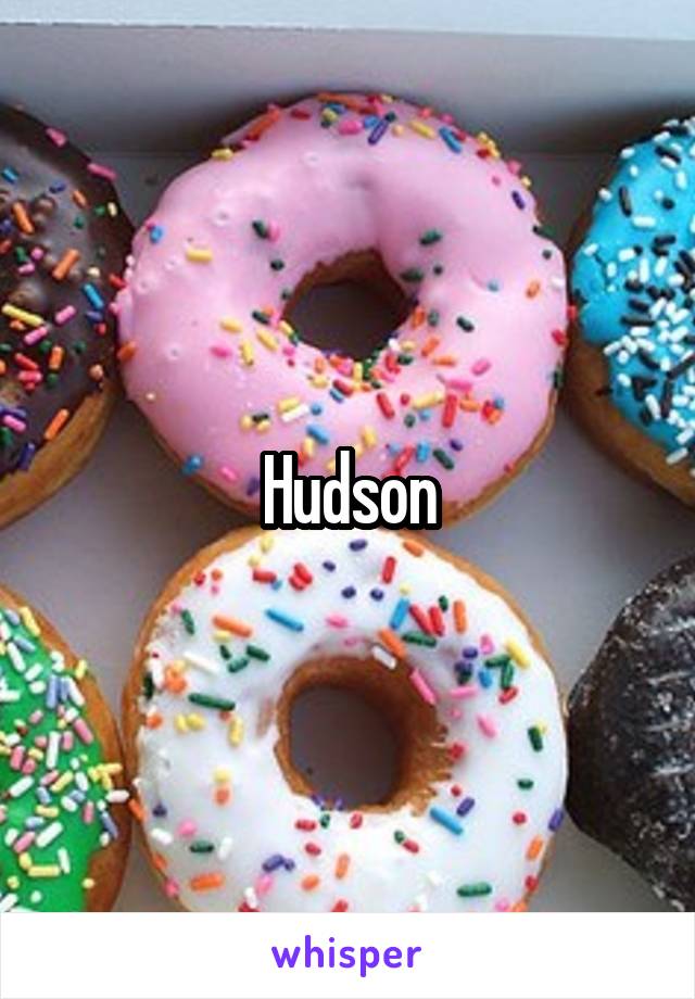 Hudson