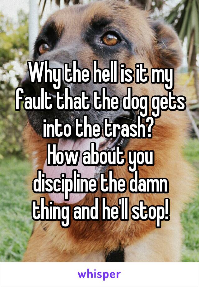 Why the hell is it my fault that the dog gets into the trash? 
How about you discipline the damn thing and he'll stop!