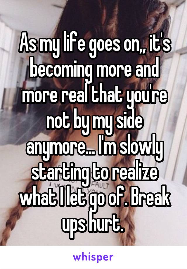 As my life goes on,, it's becoming more and more real that you're not by my side anymore... I'm slowly starting to realize what I let go of. Break ups hurt. 