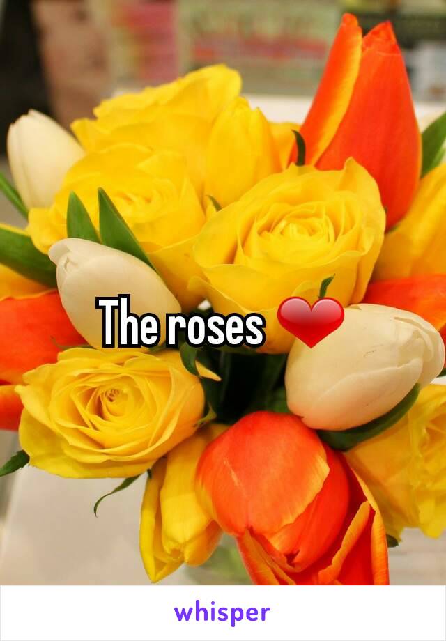 The roses ❤