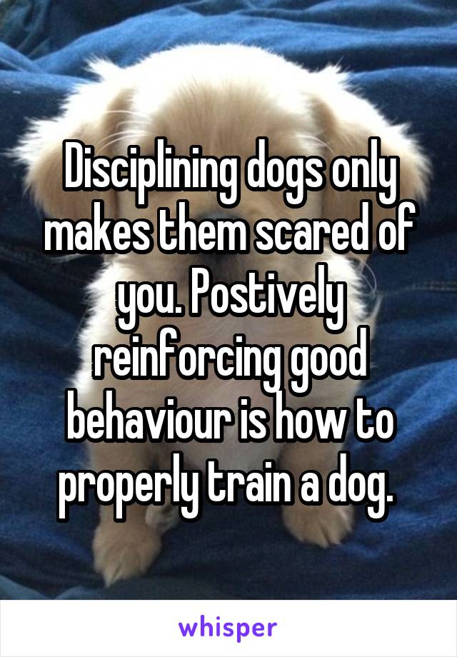 Disciplining dogs only makes them scared of you. Postively reinforcing good behaviour is how to properly train a dog. 
