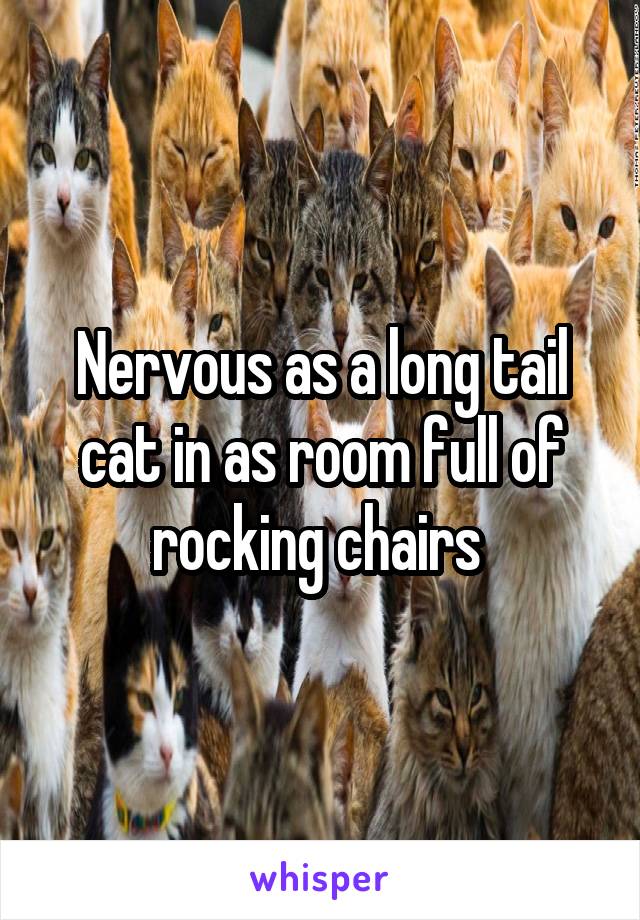 Nervous as a long tail cat in as room full of rocking chairs 