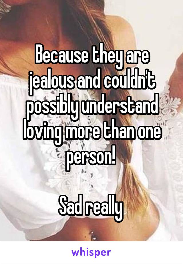 Because they are jealous and couldn't possibly understand loving more than one person! 

Sad really 