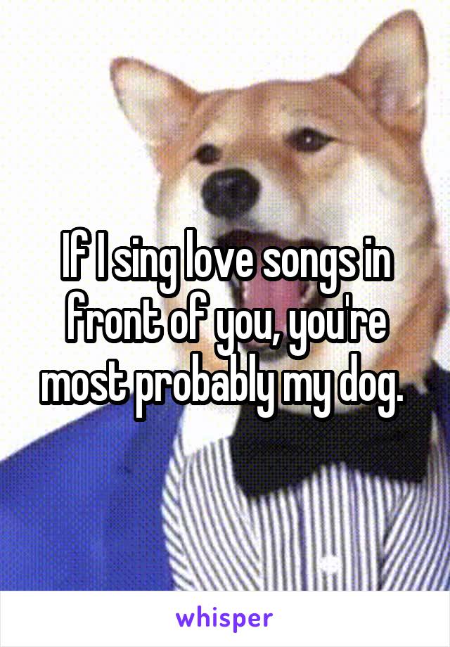 If I sing love songs in front of you, you're most probably my dog. 