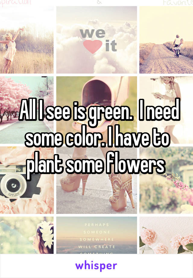  All I see is green.  I need some color. I have to plant some flowers 