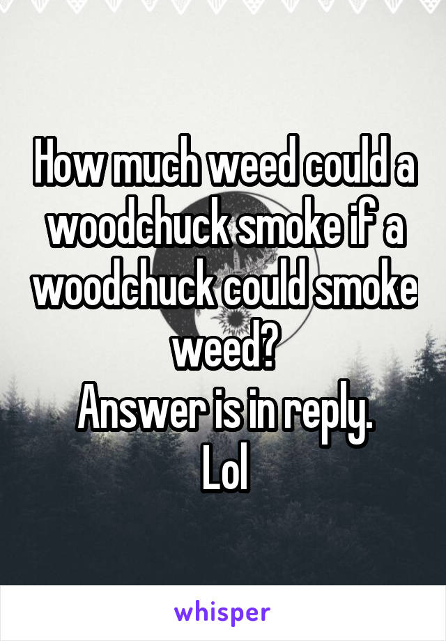 How much weed could a woodchuck smoke if a woodchuck could smoke weed?
Answer is in reply.
Lol