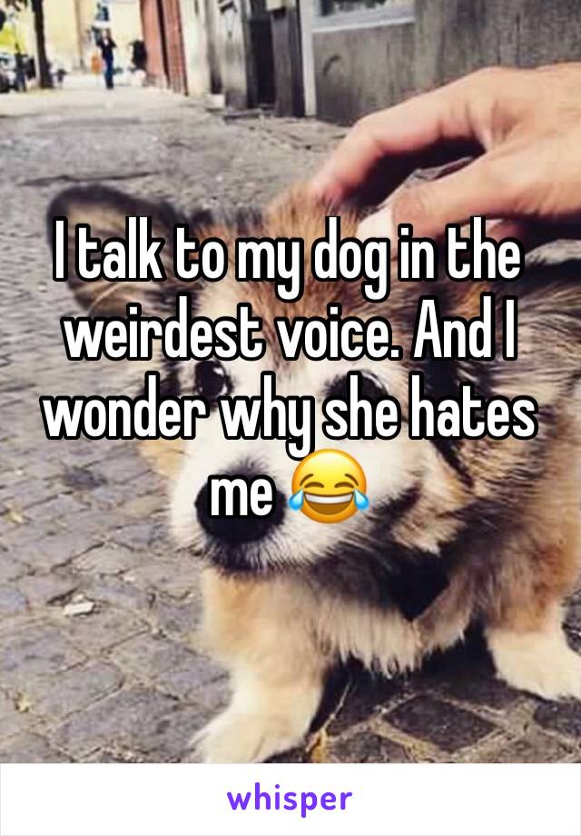 I talk to my dog in the weirdest voice. And I wonder why she hates me 😂