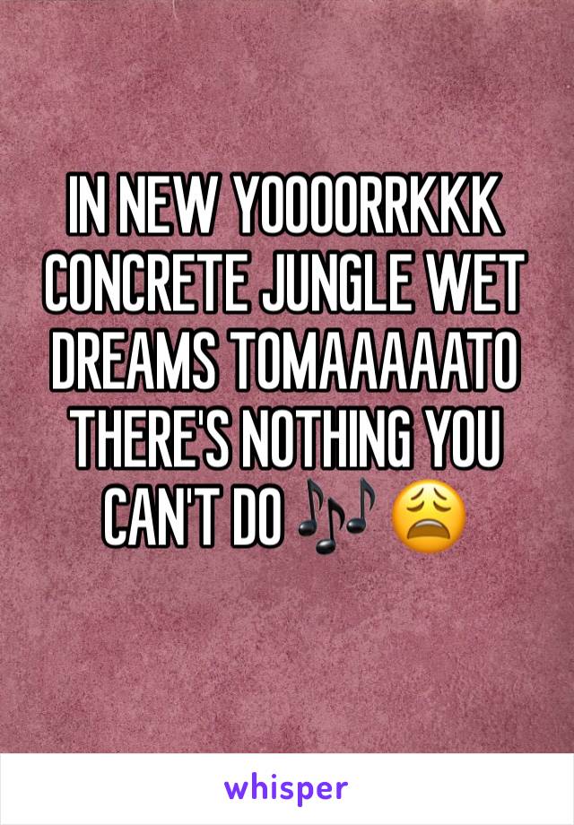 IN NEW YOOOORRKKK 
CONCRETE JUNGLE WET DREAMS TOMAAAAATO THERE'S NOTHING YOU CAN'T DO 🎶 😩
