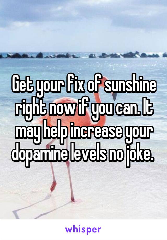 Get your fix of sunshine right now if you can. It may help increase your dopamine levels no joke. 