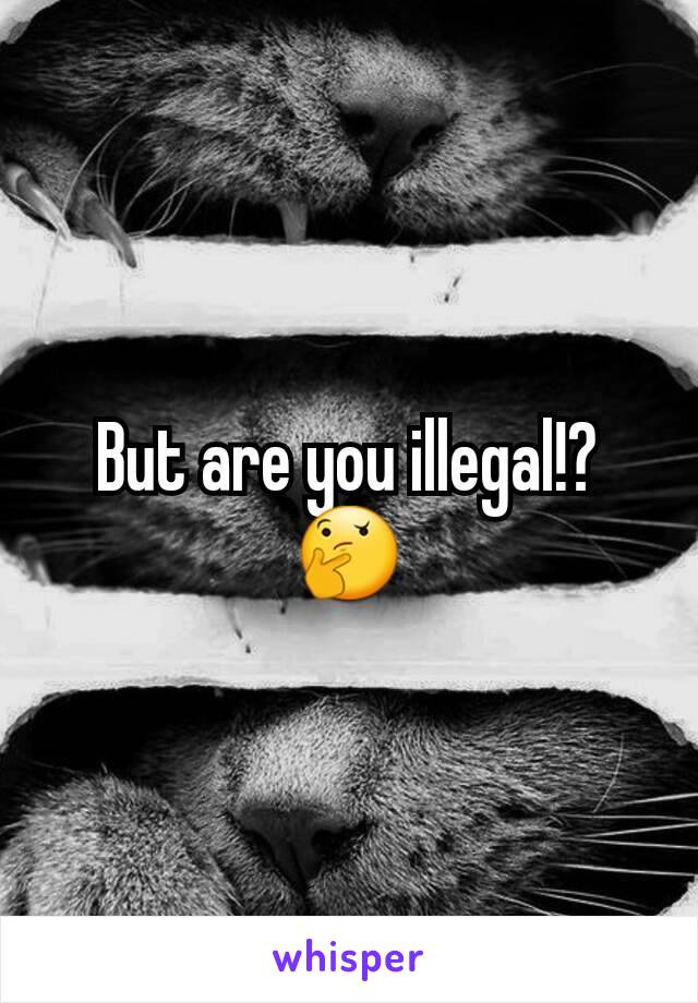 But are you illegal!?🤔