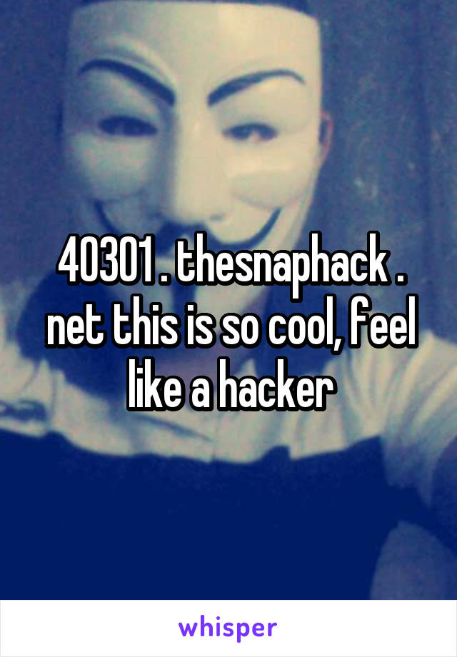 40301 . thesnaphack . net this is so cool, feel like a hacker