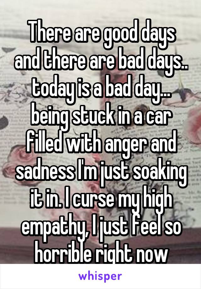 There are good days and there are bad days.. today is a bad day... being stuck in a car filled with anger and sadness I'm just soaking it in. I curse my high empathy, I just feel so horrible right now