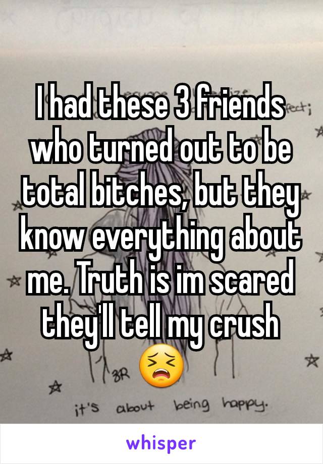 I had these 3 friends who turned out to be total bitches, but they know everything about me. Truth is im scared they'll tell my crush 😣