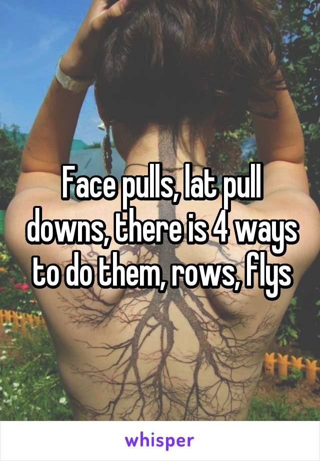 Face pulls, lat pull downs, there is 4 ways to do them, rows, flys