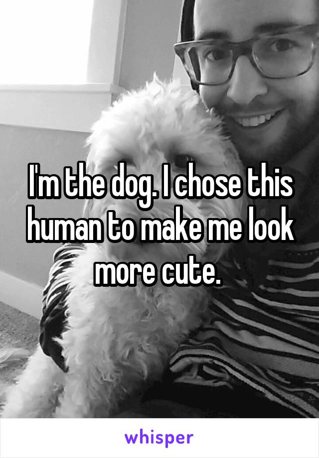 I'm the dog. I chose this human to make me look more cute. 