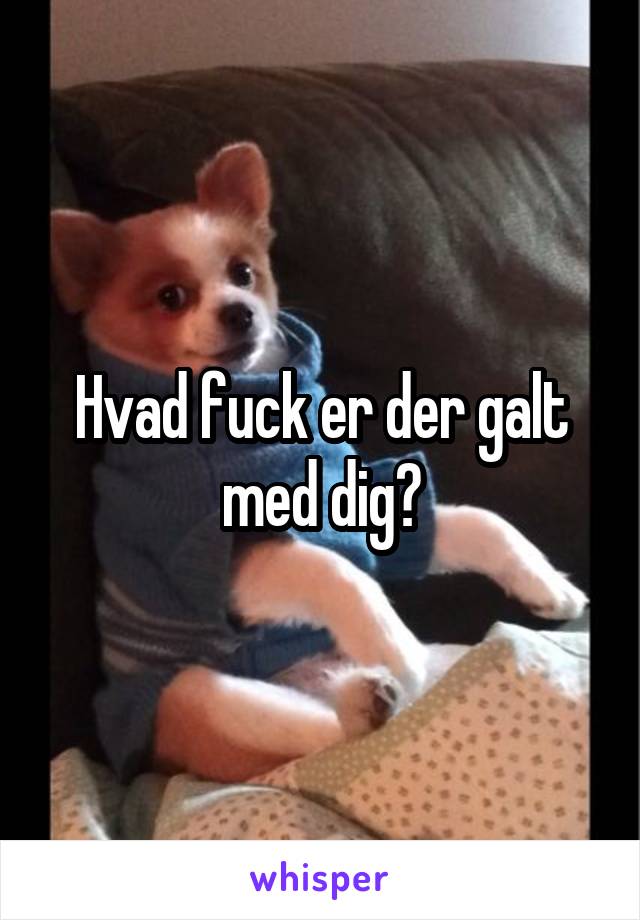 Hvad fuck er der galt med dig?