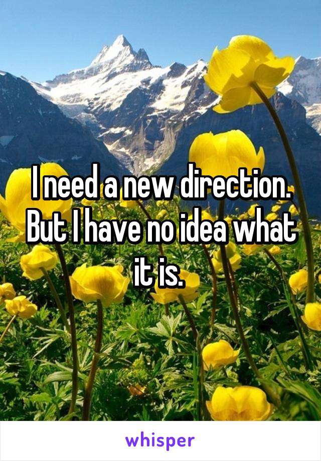 I need a new direction. But I have no idea what it is. 