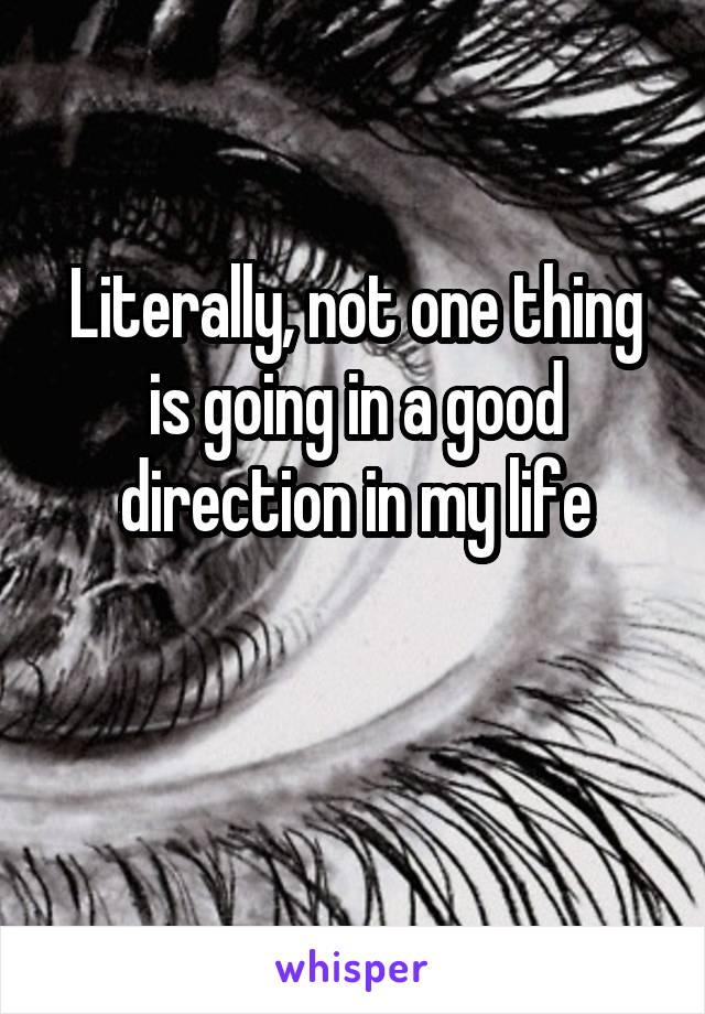 Literally, not one thing is going in a good direction in my life

