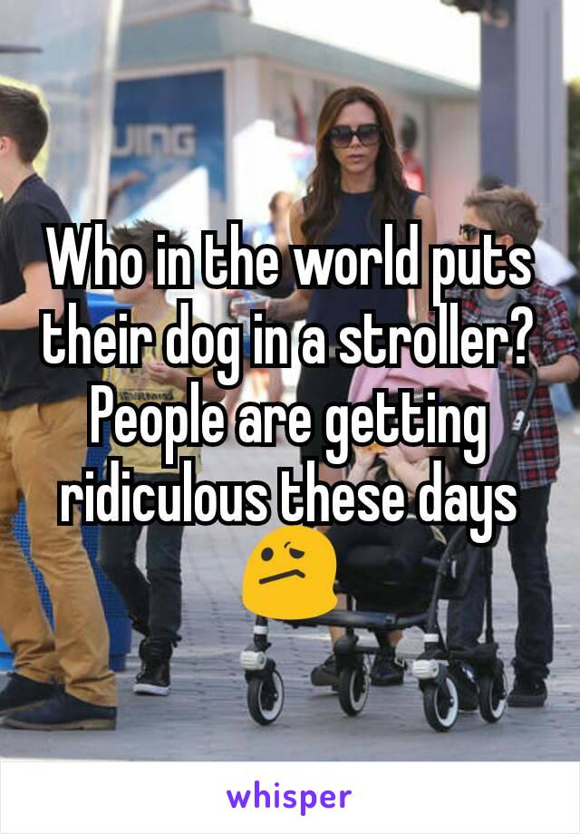 Who in the world puts their dog in a stroller? People are getting ridiculous these days 😕